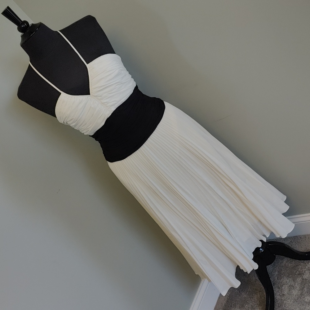 BCBG Max Azria Dress Size 10 New